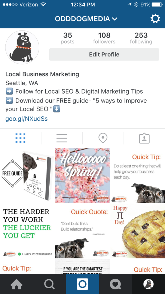 Odd Dog Instagram local business