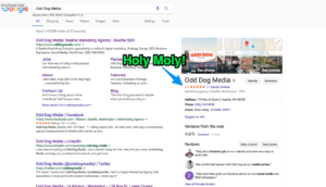 Google Review Updates