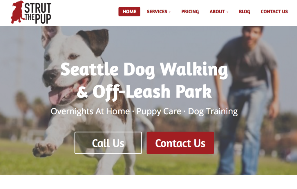seattle dog walking website