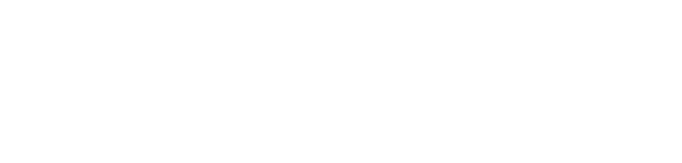 The Odd Dog Media logo, a Seattle Digital Marketing Agency