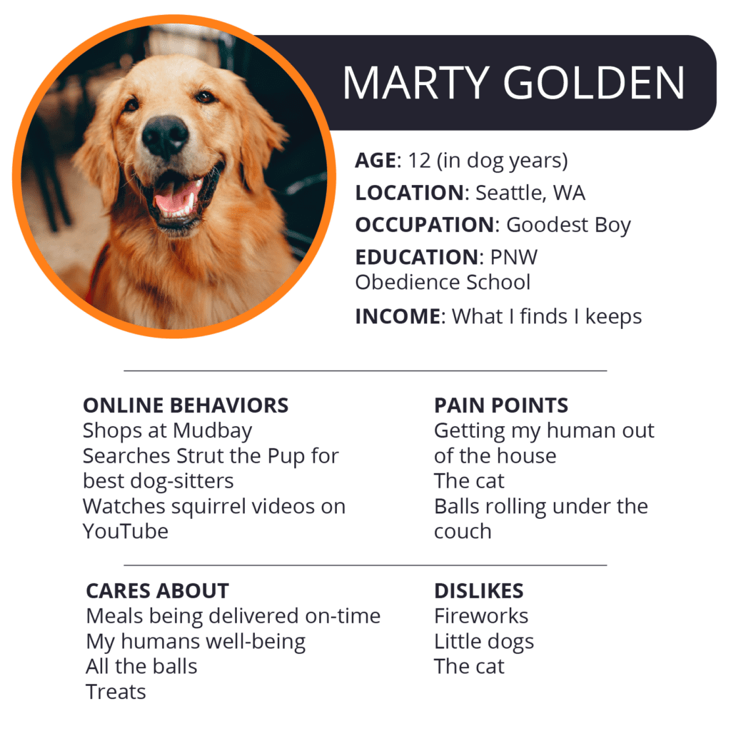 buyer persona example with dog