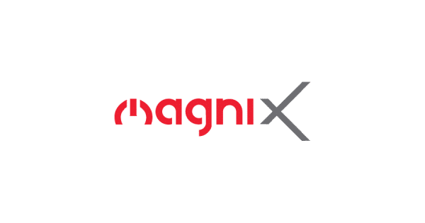 MagniX website design