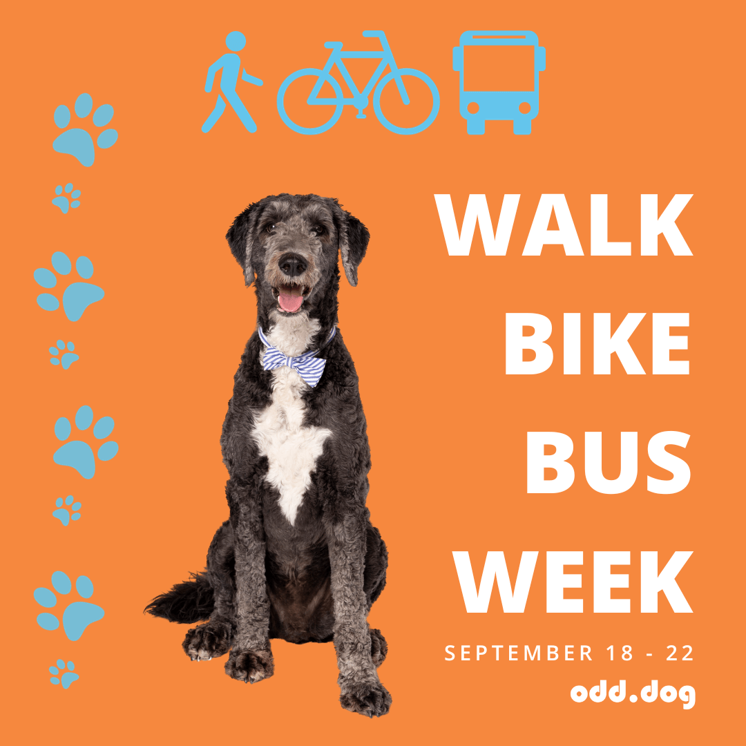 Odd Dog's Socially Conscious Committee present Walk Bike Bus week.
