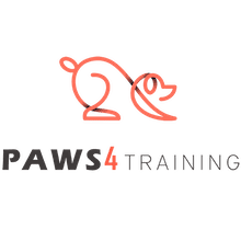 seattle dog and puppy trainer - paws4training
